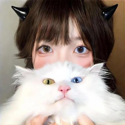 狐狸的故事在线观看